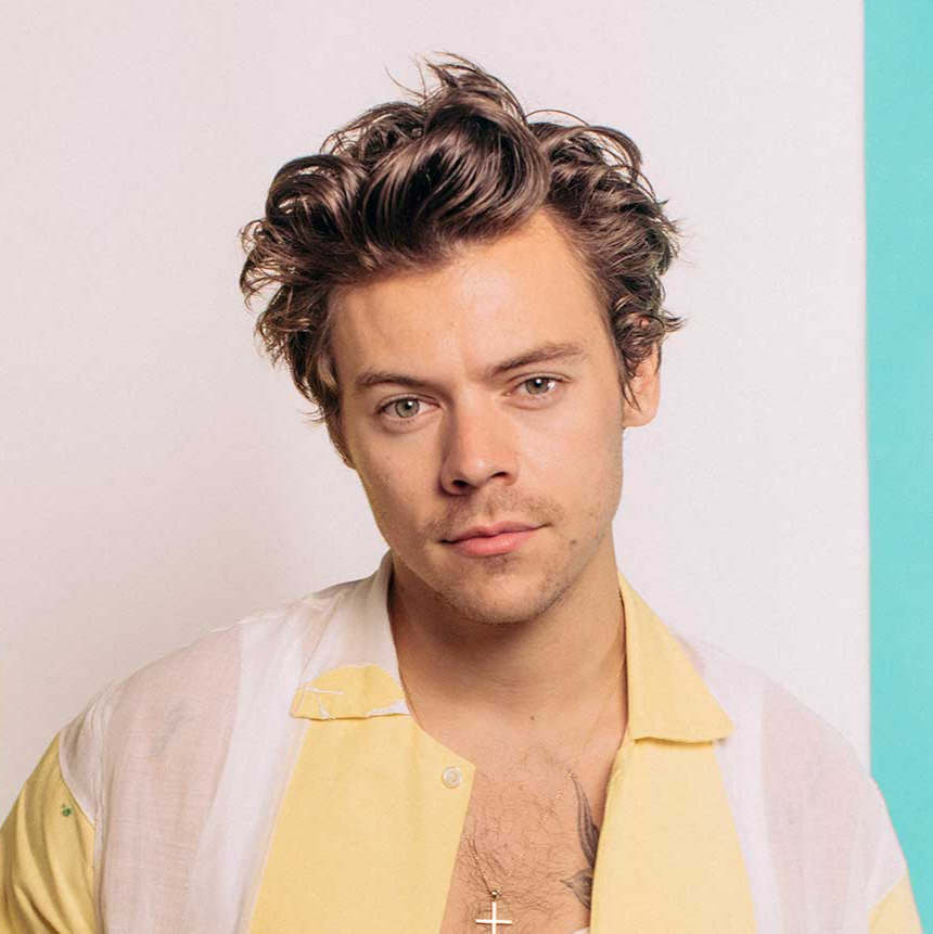 Harry Styles  AI voice