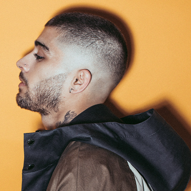 Zayn Malik  AI voice